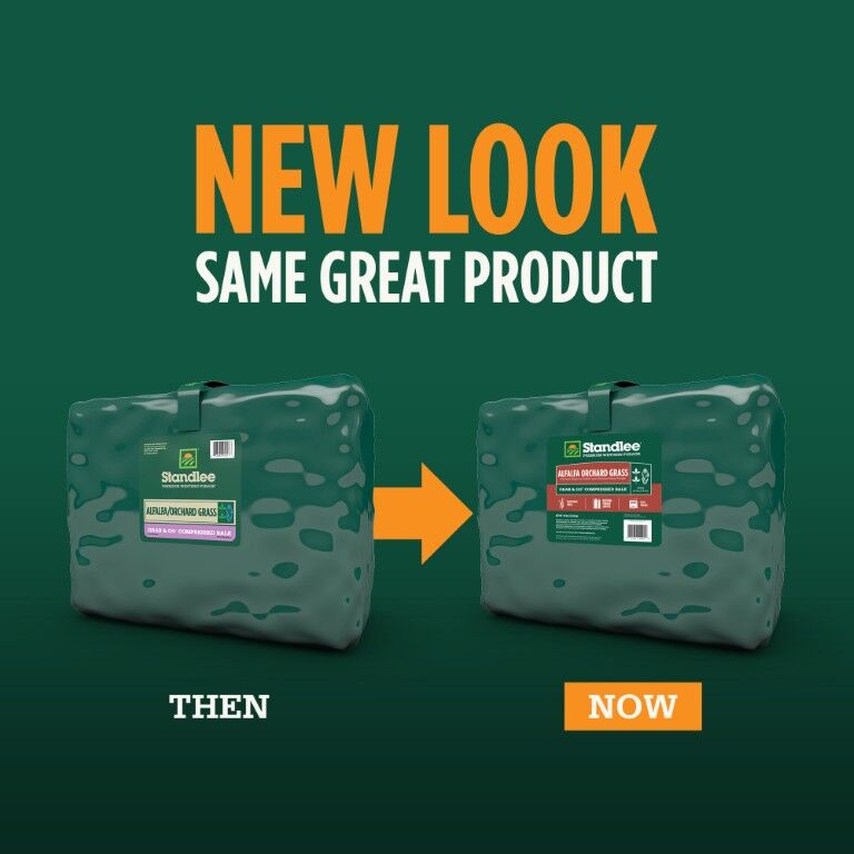 Standlee Premium Western Forage Alfalfa Orchard Grass Grab & Go Compressed Hay Bale, 50-Lb