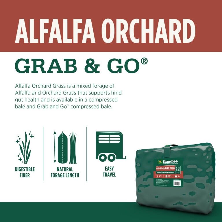 Standlee Premium Western Forage Alfalfa Orchard Grass Grab & Go Compressed Hay Bale, 50-Lb