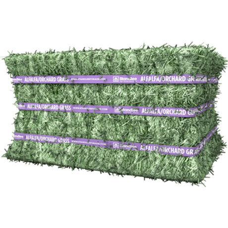 Standlee Premium Western Forage Alfalfa Orchard Grass Compressed Hay Bale, 50-Lb
