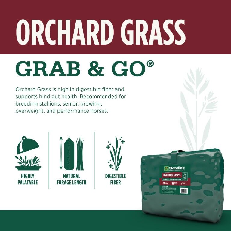 Standlee Premium Western Forage Orchard Grass Grab & Go Compressed Hay Bale 50 lb.