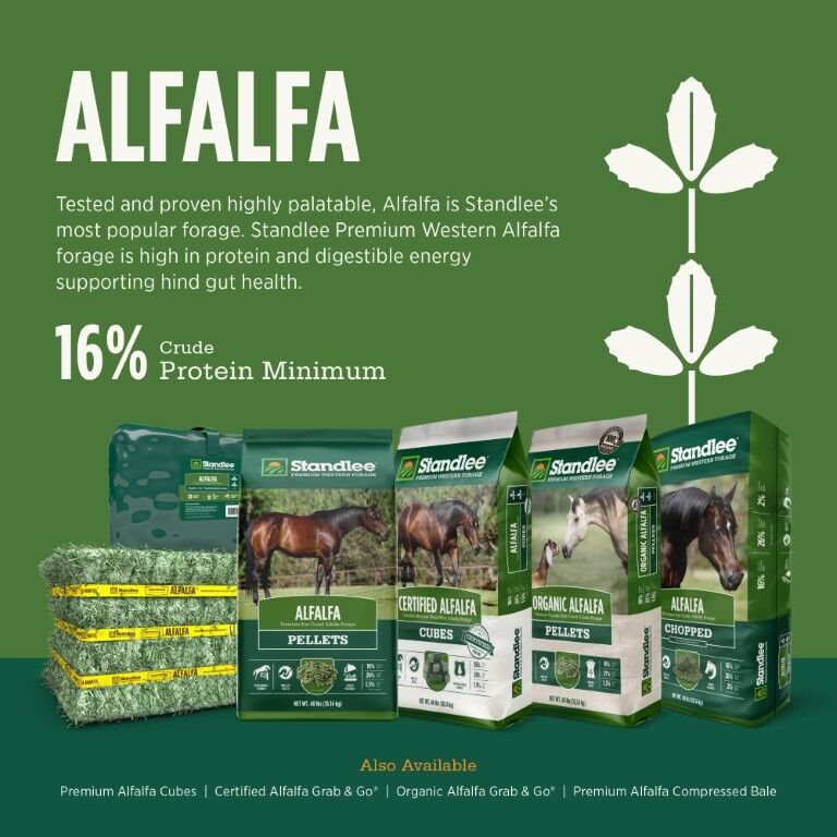 Standlee Premium Western Forage Certified Alfalfa Compressed Hay Bale, 50-Lb