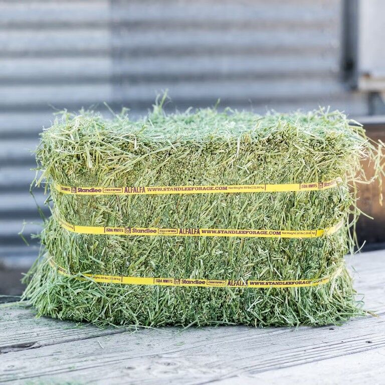 Standlee Premium Western Forage Certified Alfalfa Compressed Hay Bale, 50-Lb