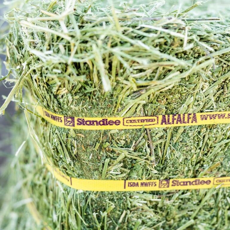 Standlee Premium Western Forage Certified Alfalfa Compressed Hay Bale, 50-Lb