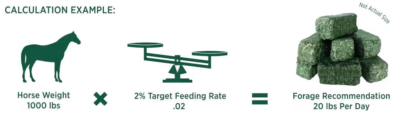 Standlee Premium Western Forage Timothy Grass Hay Mini Cubes, 40-Lb