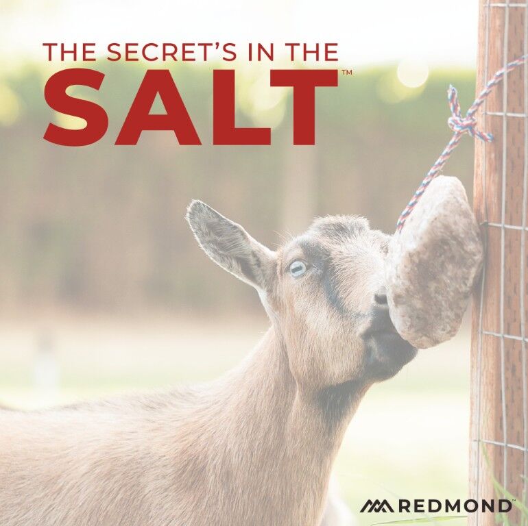 Redmond Goat Rock On A Rope, 3-Lb