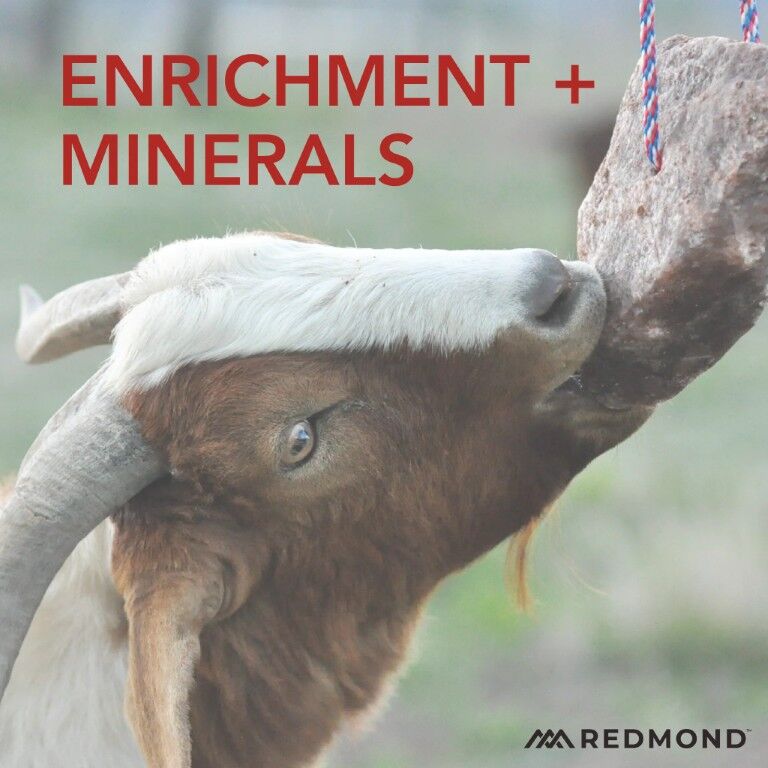 Redmond Goat Rock On A Rope, 3-Lb