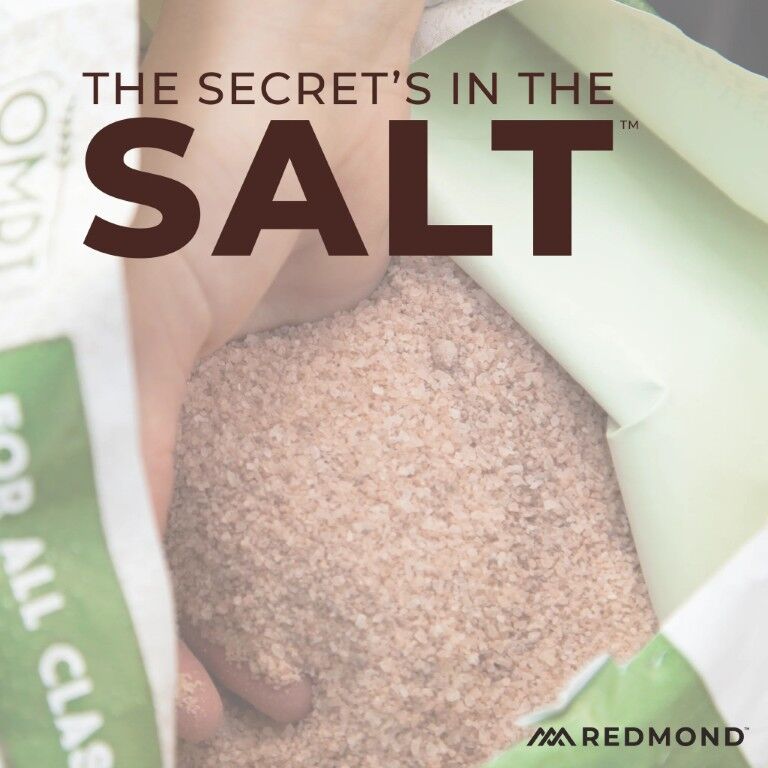 Redmond 10 Fine Natural Premium Mineral Salt Block, 44-Lb