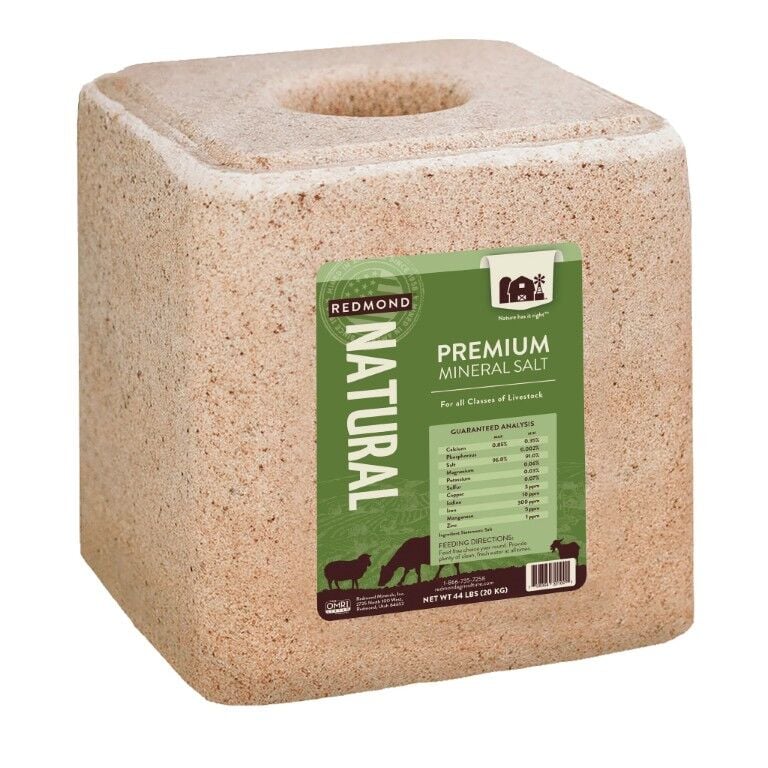 Redmond 10 Fine Natural Premium Mineral Salt Block, 44-Lb