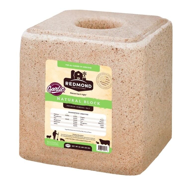 Redmond 10 Fine Natural Premium Mineral Salt Block With Garlic, 44-Lb