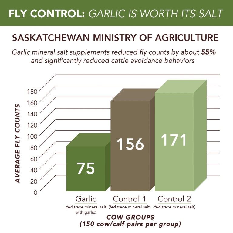 Redmond 10 Fine Natural Premium Mineral Salt Block With Garlic, 44-Lb