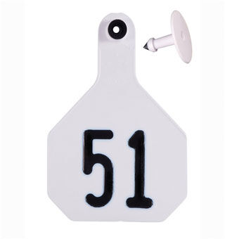 Y-Tex White All-American 3* Medium 2-Pc Ear Tags, #51-75