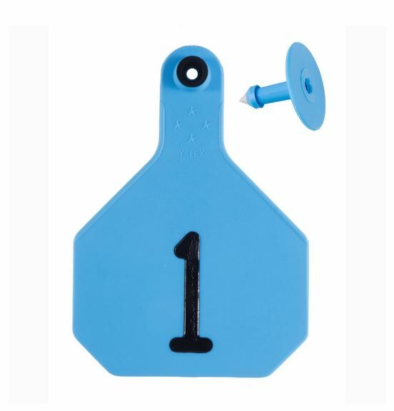 Y-Tex Combo Numbered 1-25 - Blue, Large