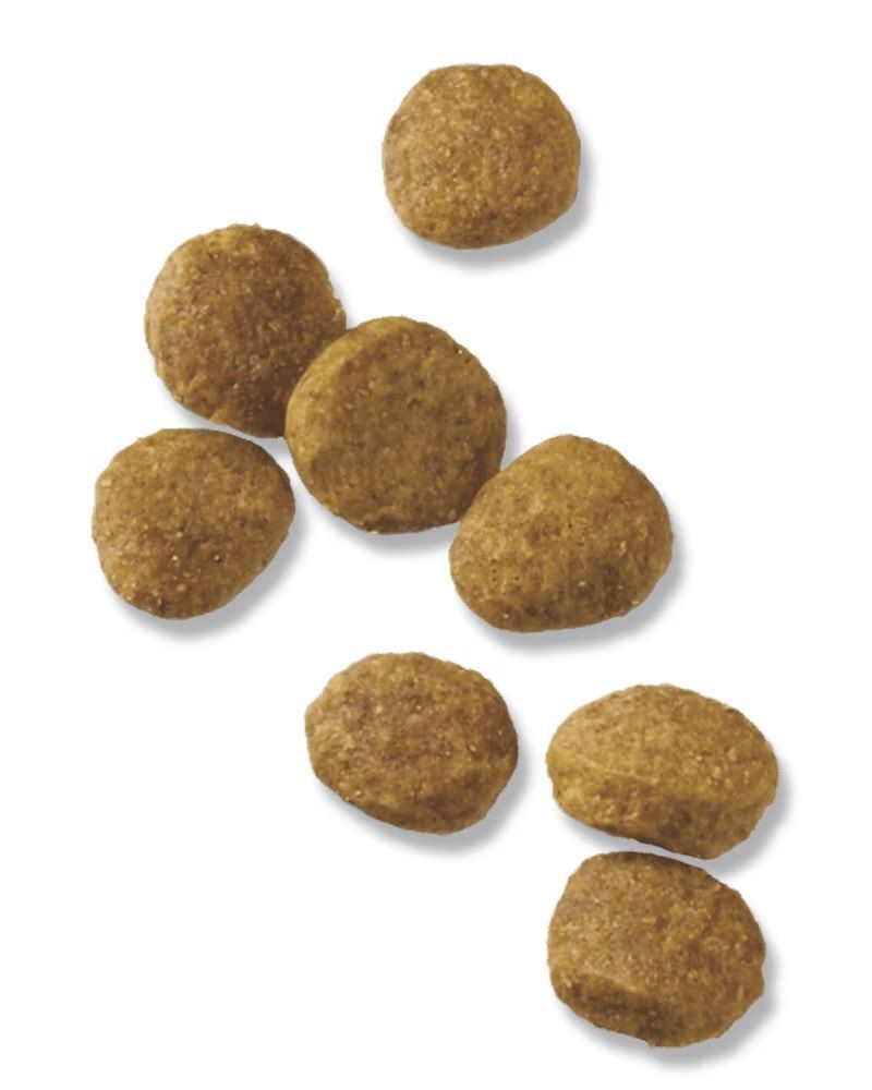 Purina Pro Plan Puppy Chicken & Rice Formula Dry Dog Food, 34-Lb