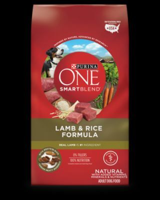 Purina Lamb & Rice Formula Dog Food - Adult, 31 lb