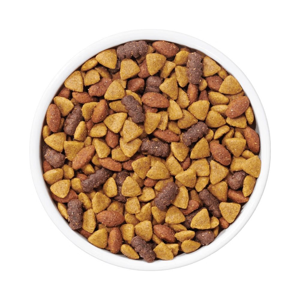 Purina Dog Chow Complete Adult Beef Flavor Dry Dog Food, 44-Lb