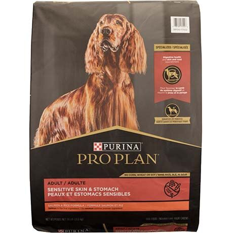 Purina Pro Plan Sensitive Stomach Salmon & Rice Dog Food - 30 lb