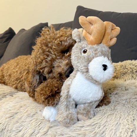 Tall Tails Animated Jackalope Dog Toy