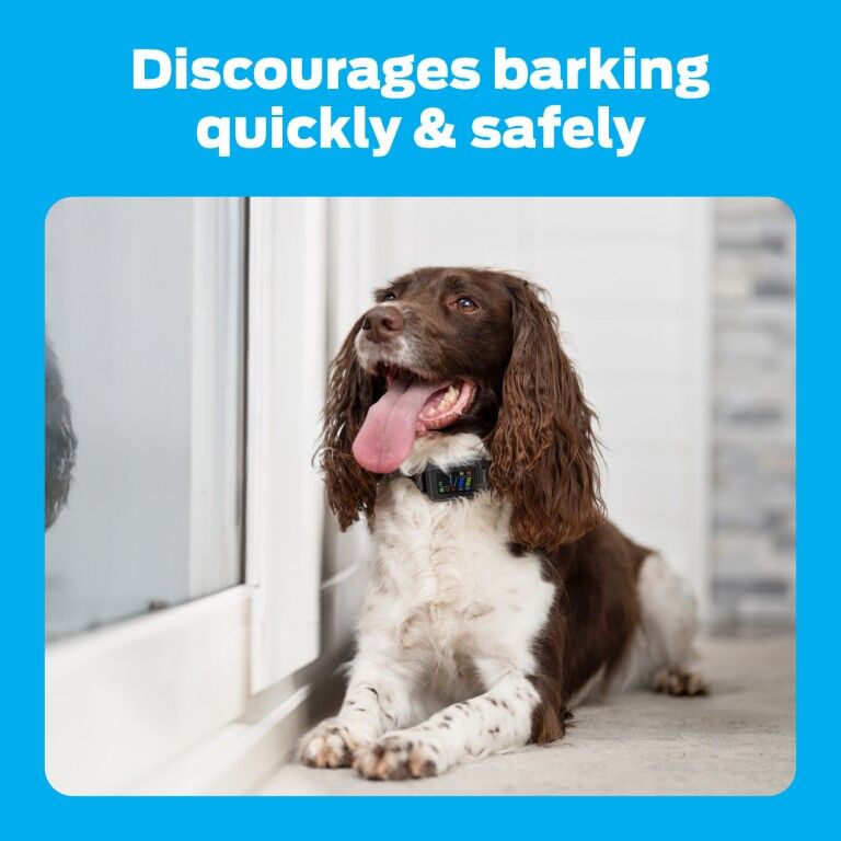 Premier Pet Bark Collar With Digital Display