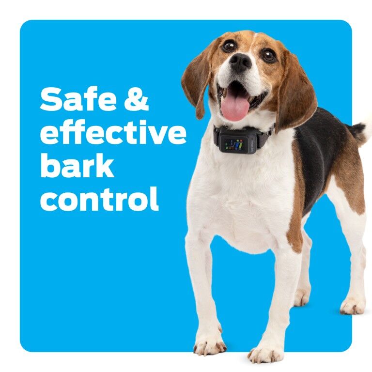 Premier Pet Bark Collar With Digital Display