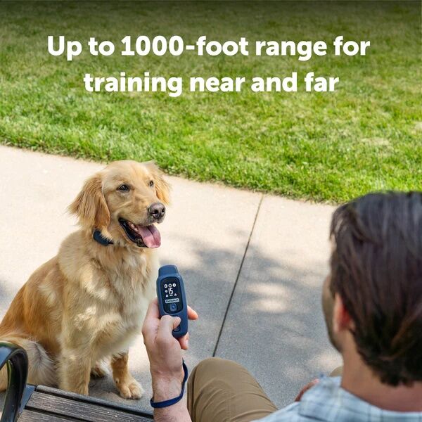 PetSafe Core Dog Trainer With Remote
