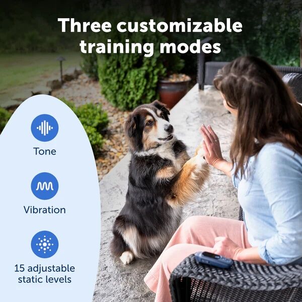 PetSafe Core Dog Trainer With Remote