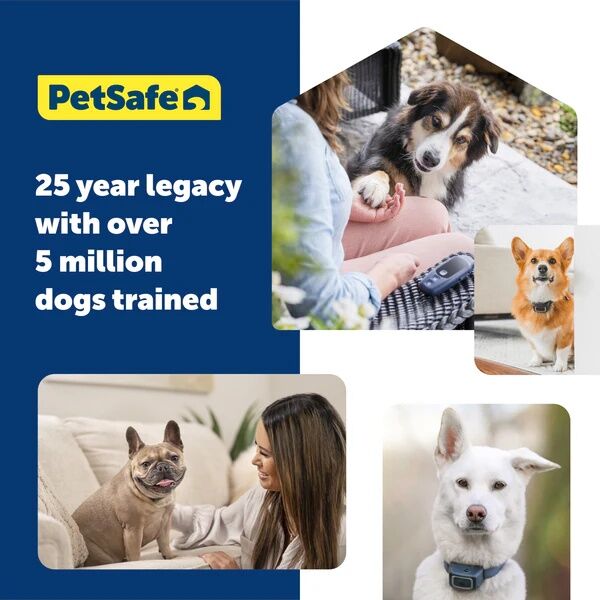 PetSafe Core Dog Trainer With Remote