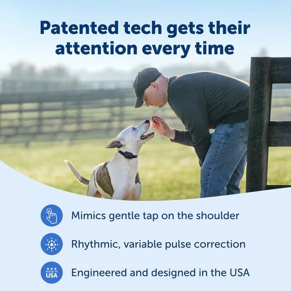 PetSafe Core Dog Trainer With Remote