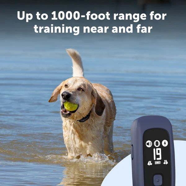PetSafe Pro Dog Trainer with Remote