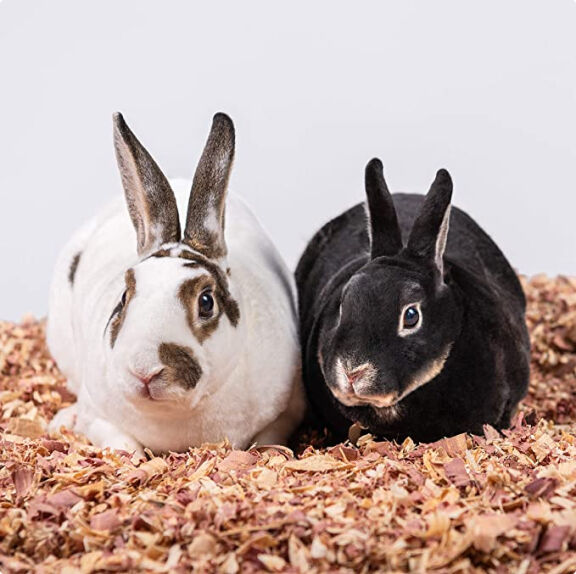 American Wood Fibers Red Cedar Bedding