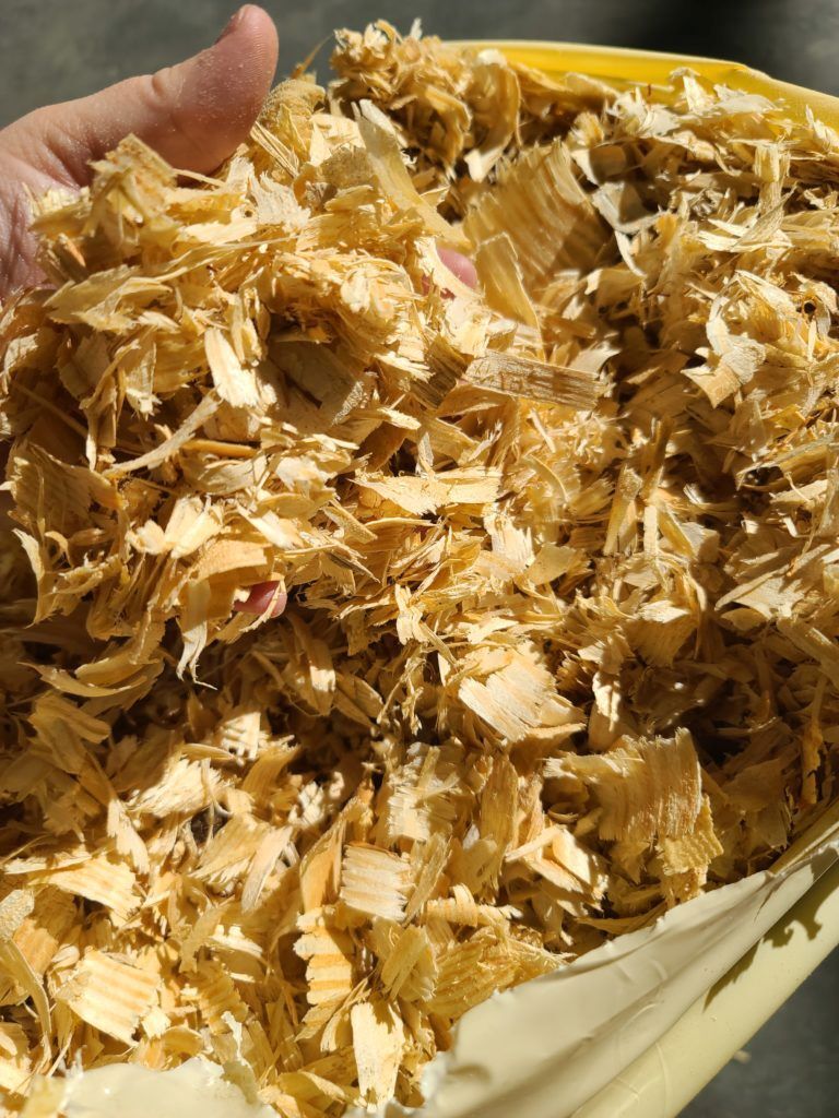 Aden Brook Large Flake Shavings
