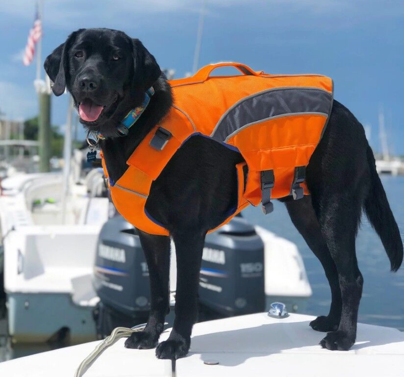 Baydog Orange Extra Large Monterey Bay Dog LifeJacket