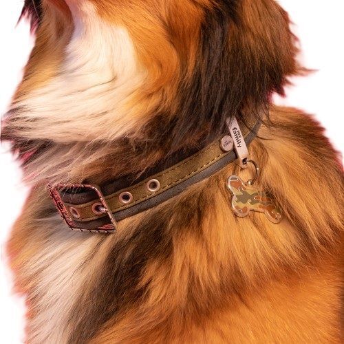 MyFamily Style Camouflage XL Green Bone ID Tag