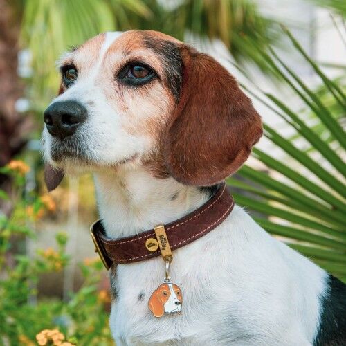 MyFamily Friends Beagle ID Tag