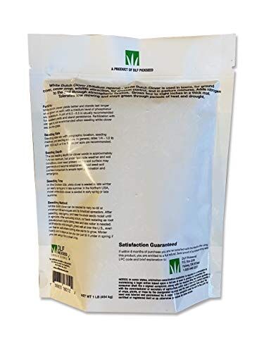 DLF White Dutch Clover, 1-Lb