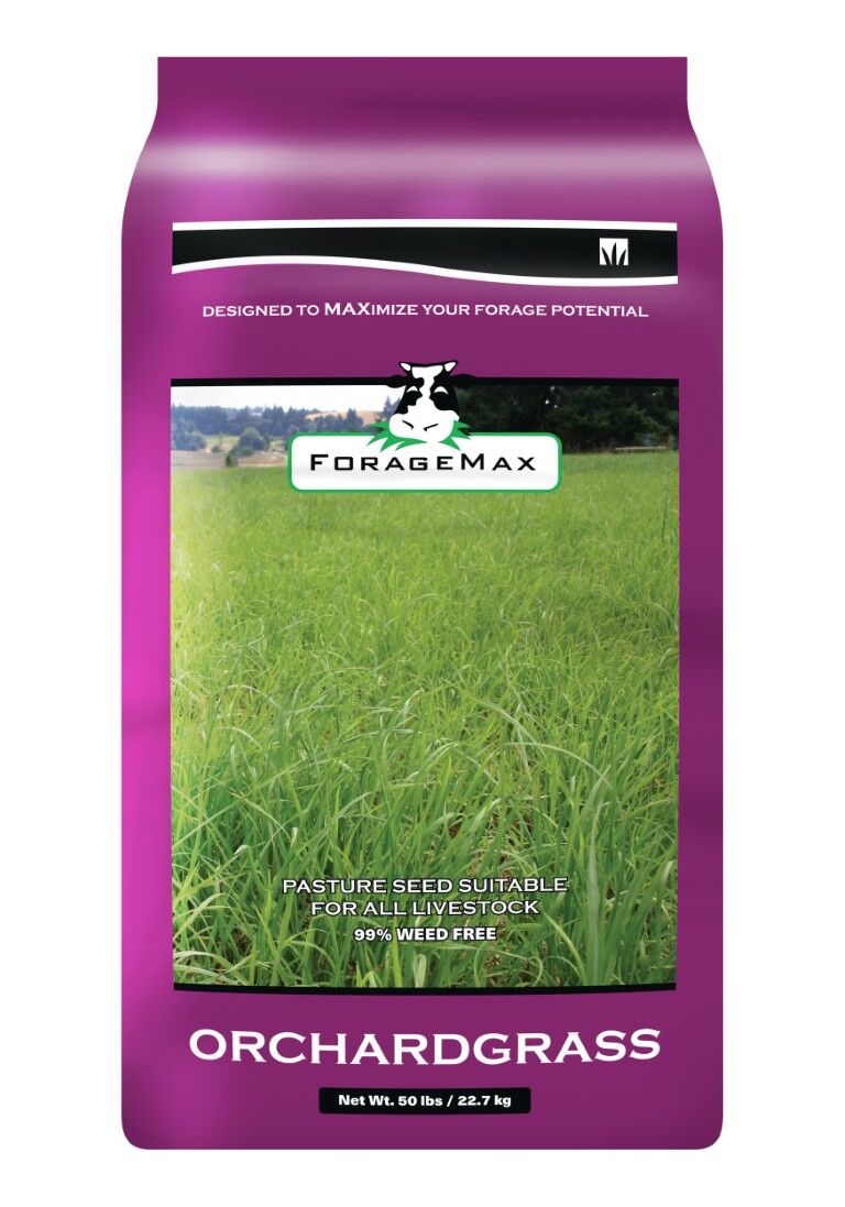 ForageMax Orchardgrass Seed, 50-Lb