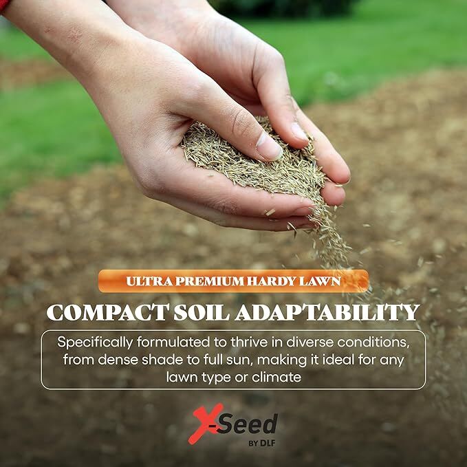 X-Seed Hardy Lawn Grass Seed Mixture, 20-Lb