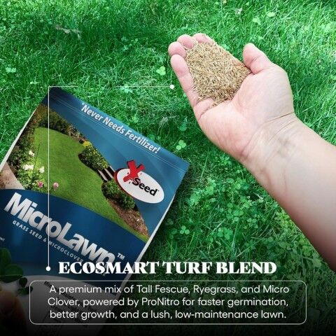 X-Seed Microlawn Grass Seed & Microclover Mixture, 5-Lb