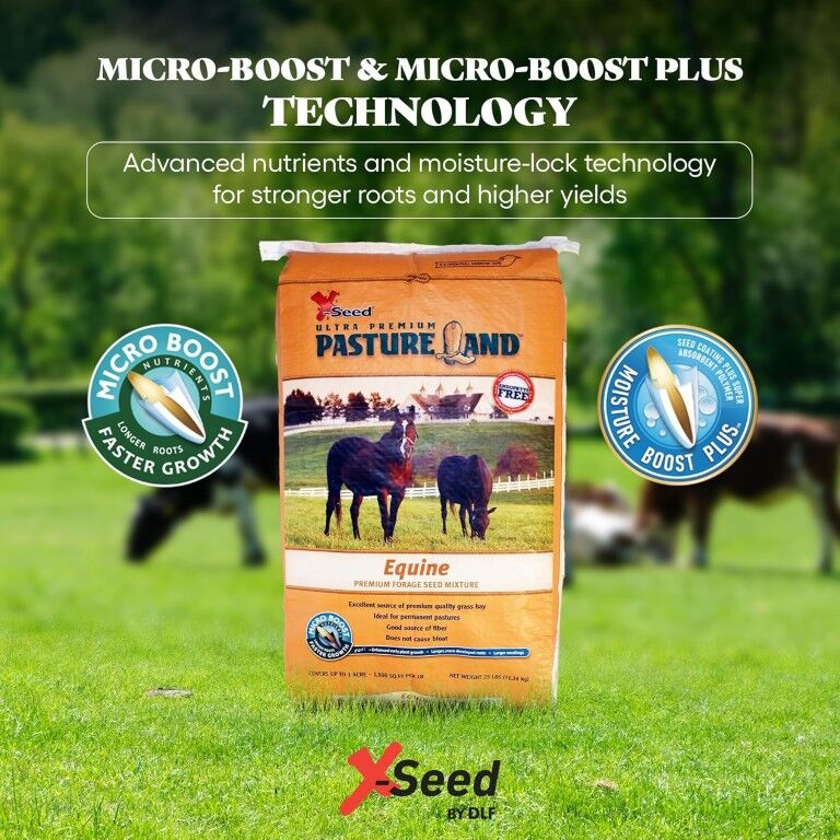 X-Seed Ultra Premium Pastureland Equine Premium Forage Seed Mix, 25-Lb