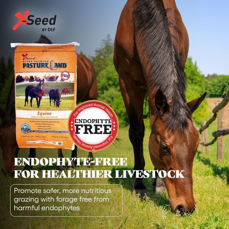 X-Seed Ultra Premium Pastureland Equine Premium Forage Seed Mix, 25-Lb