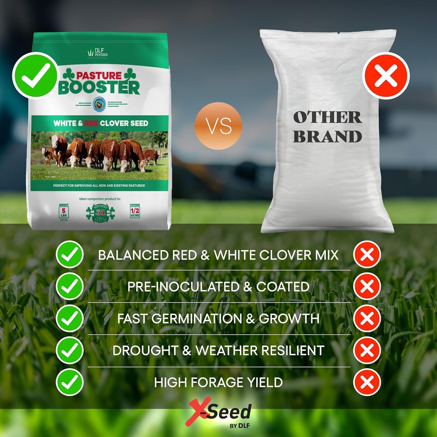 Pasture Booster White & Red Clover Seed Mix, 5-Lb