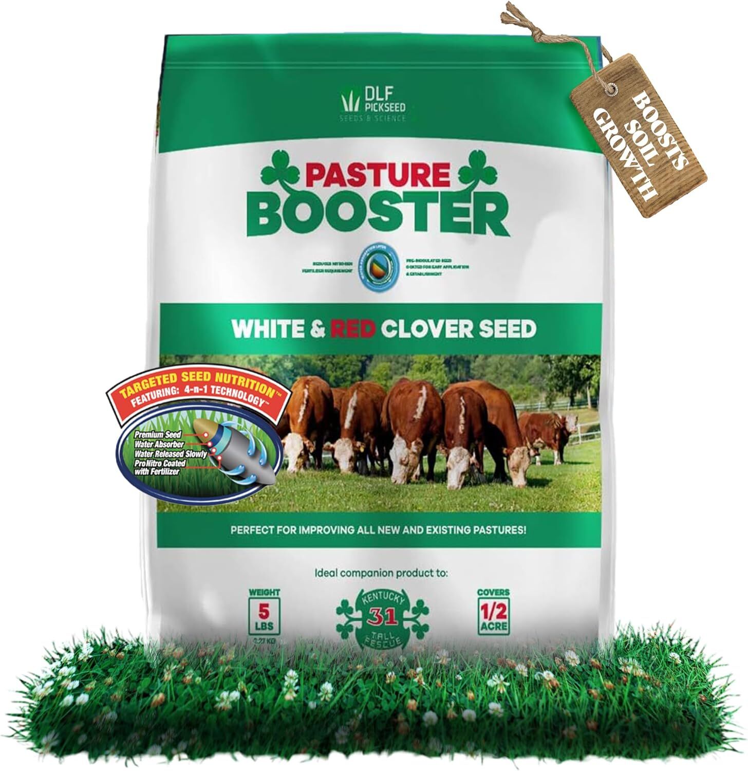 Pasture Booster White & Red Clover Seed Mix, 5-Lb