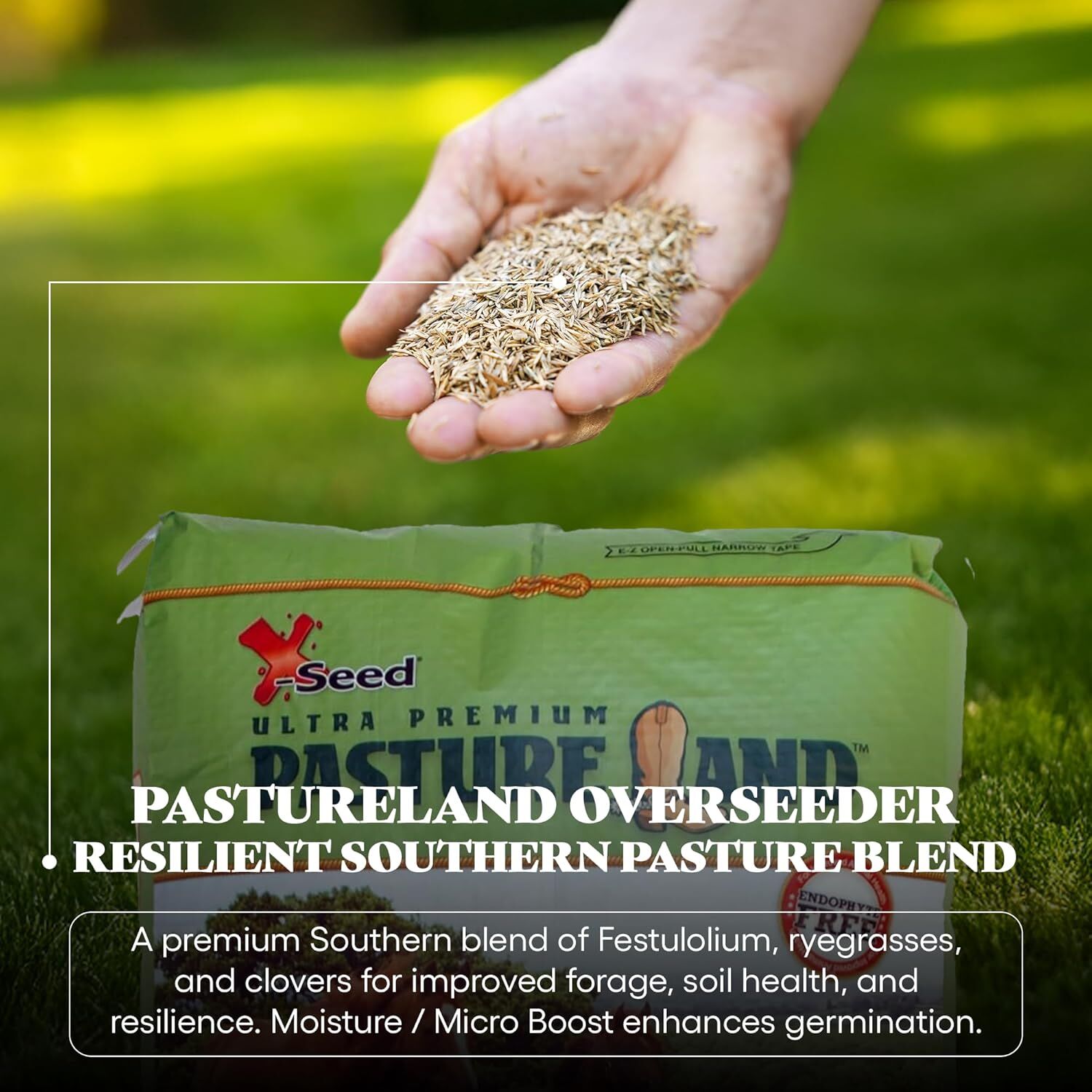 X-Seed Pastureland Over-Seeder South Premium Forage Seed Mix, 50-Lb