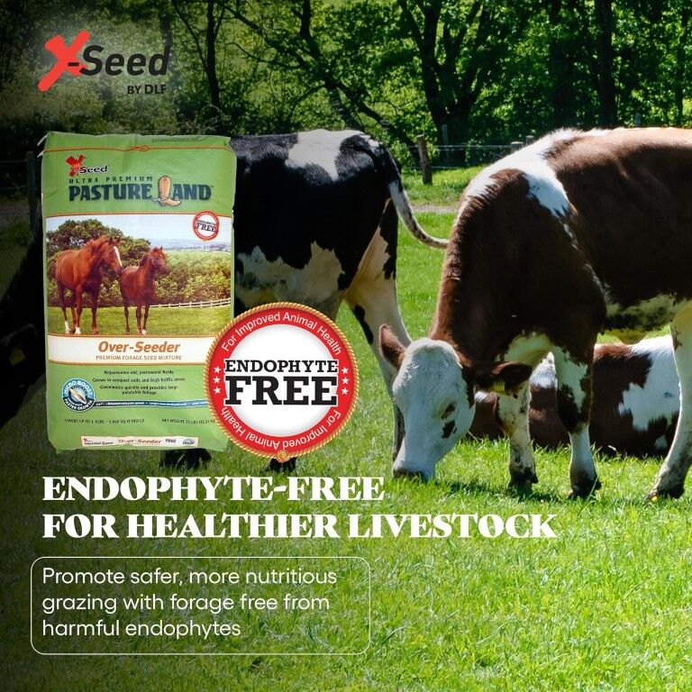 X-Seed Pastureland Over-Seeder South Premium Forage Seed Mix, 50-Lb