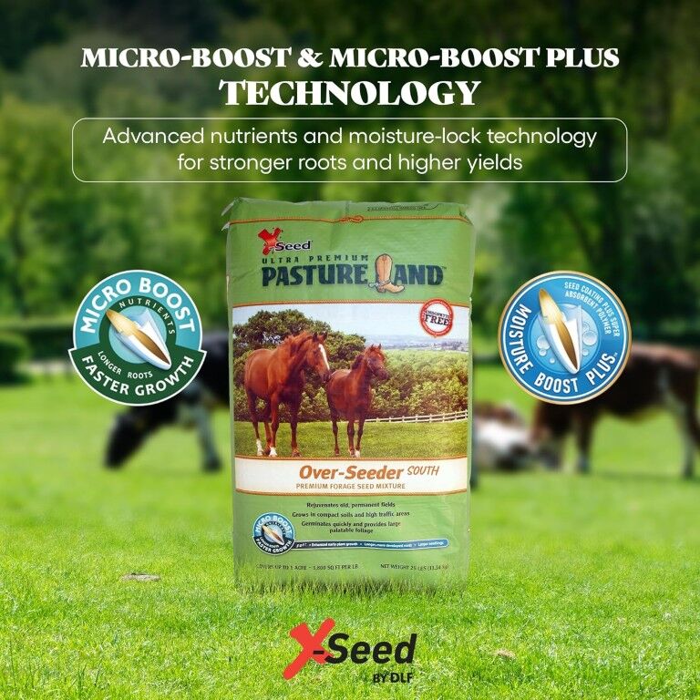 X-Seed Pastureland Over-Seeder South Premium Forage Seed Mix, 50-Lb