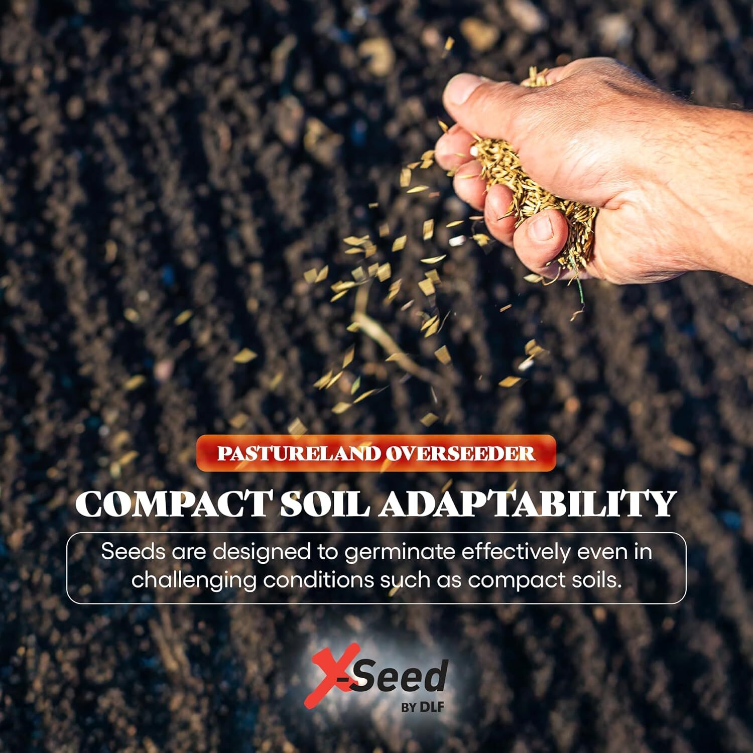 X-Seed Pastureland Over-Seeder South Premium Forage Seed Mix, 50-Lb