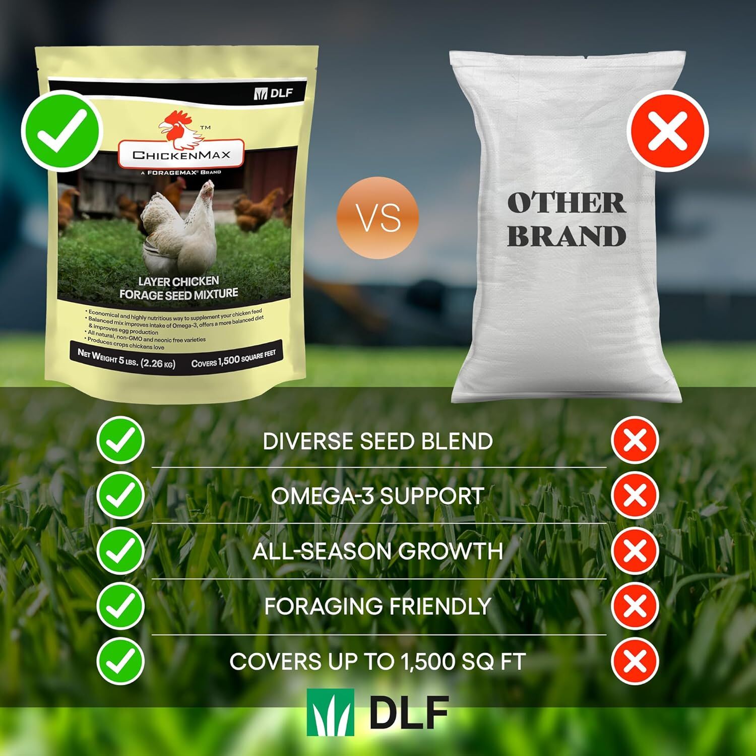 DLF Chicken Max Layer Chicken Forage Seed Mixture, 5-Lb