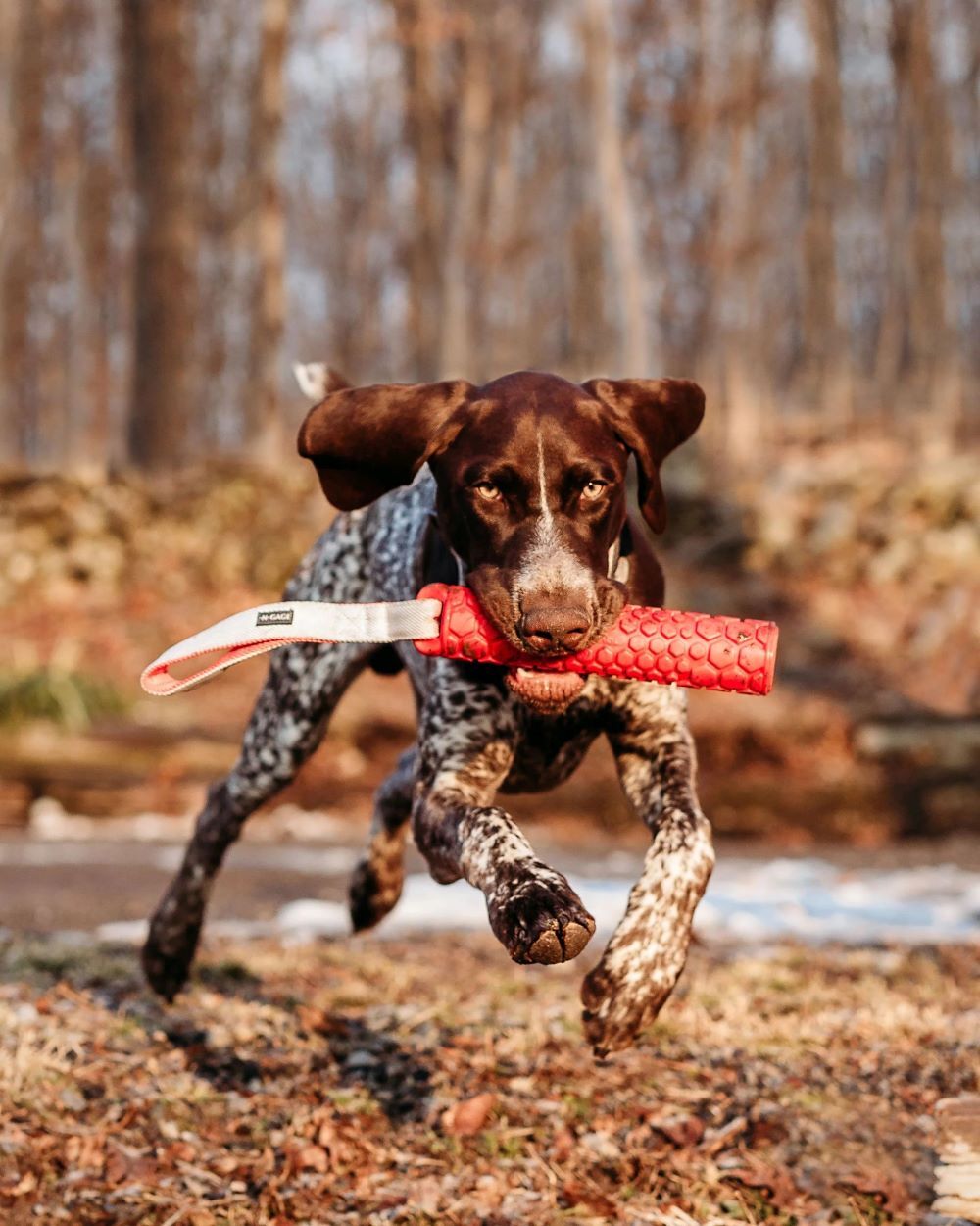 N-Gage Regular Orange Bumper
