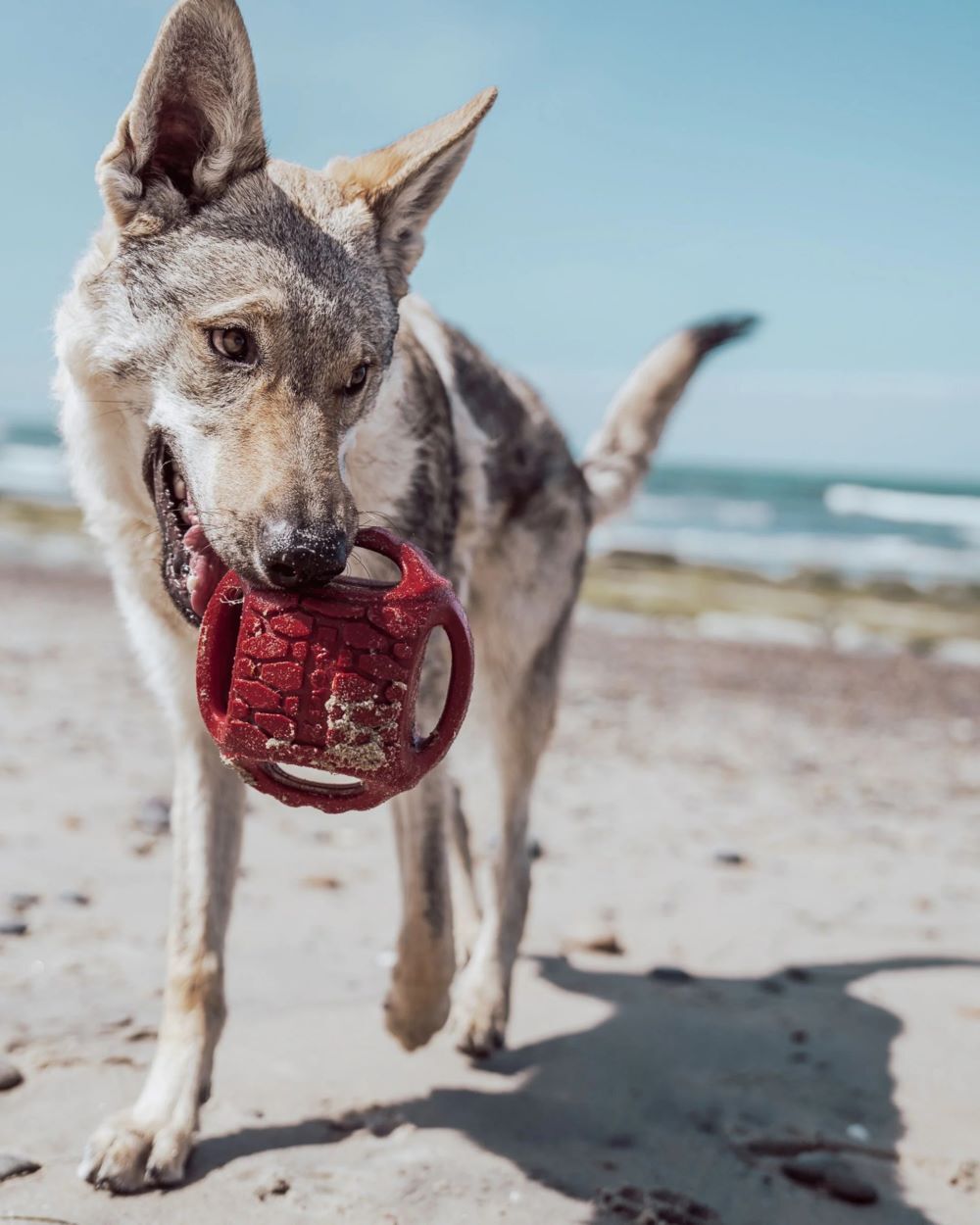 N-Gage Jumbo Orange Hydro Handler