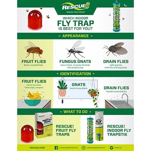 RESCUE! Reusable Fruit Fly Traps, 2-Pk