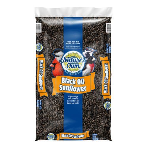 Nature's Own Black Oil Sunflower, 5-Lb